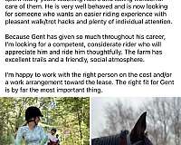 trail-trail-riding-thoroughbred-horse