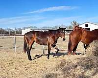 trail-rode-on-horse