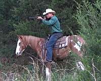 around-paint-horse