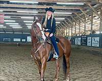 chestnut-blaze-pony