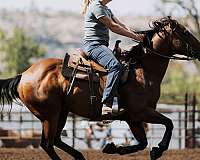 athletic-paint-horse