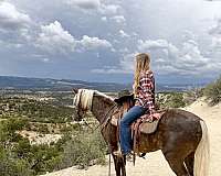 gun-safe-rocky-mountain-horse