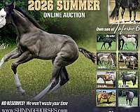 athletic-quarter-horse