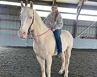 champagne-blue-eyed-trail-riding-horse