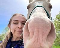 blue-eyed-trail-riding-horse