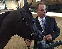 black-aha-mare