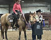 buckskin-quarter-horse
