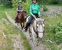 longe-line-mustang-horse