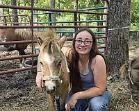 miniature-filly