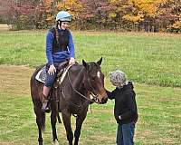 bay-trail-riding-horse