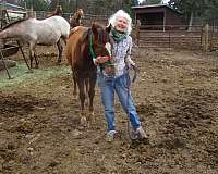 color-producer-appaloosa-horse