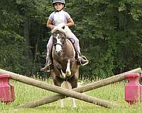 ridden-western-paint-pony
