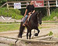 kid-safe-draft-horse