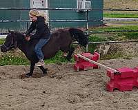 experienced-kids-pony