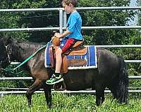 great-personality-pony