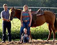 calf-roping-quarter-horse
