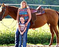 endurance-quarter-horse