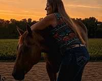 flashy-quarter-horse