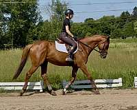 scores-mare