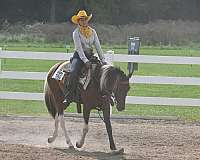 paint-mare