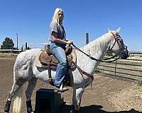 clear-quarter-horse