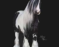 mountain-riding-colt
