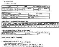 rawhide-dunit-gelding