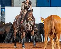 pedigree-quarter-horse