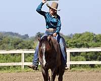 bomproof-quarter-horse