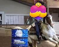 paint-pony-mare