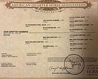 flashy-quarter-horse