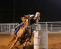 sorrel-perfo-horse