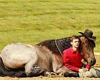 kid-safe-quarter-horse