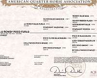 jumping-quarter-horse