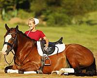 jumping-quarter-horse