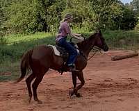 sorrel-barrel-racing-horse