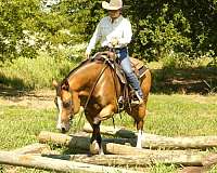 trail-riding-quarter-horse