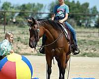 jumping-quarter-horse