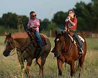kid-safe-quarter-horse