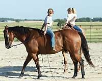 playday-quarter-horse