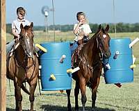 trail-riding-quarter-horse