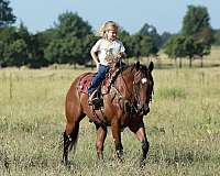 western-riding-quarter-horse