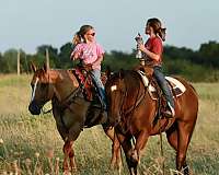 husband-safe-quarter-horse