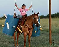 lesson-quarter-horse
