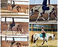 paint-mare