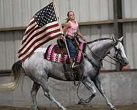 kid-safe-quarter-horse