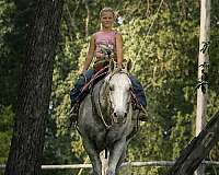 ranch-quarter-horse