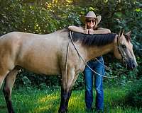 athletic-quarter-horse