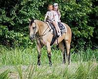 ranch-quarter-horse