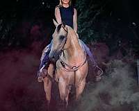 ranch-work-quarter-horse